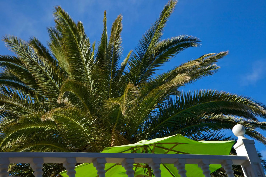 Casa Flores