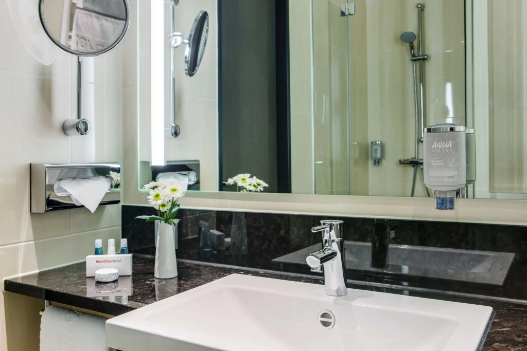 Business Double room (full double bed)