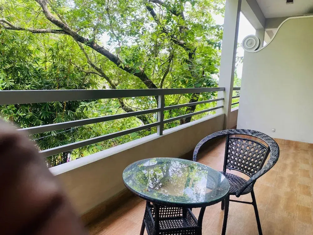 Deluxe Double room with balcony and with city view (full double bed)