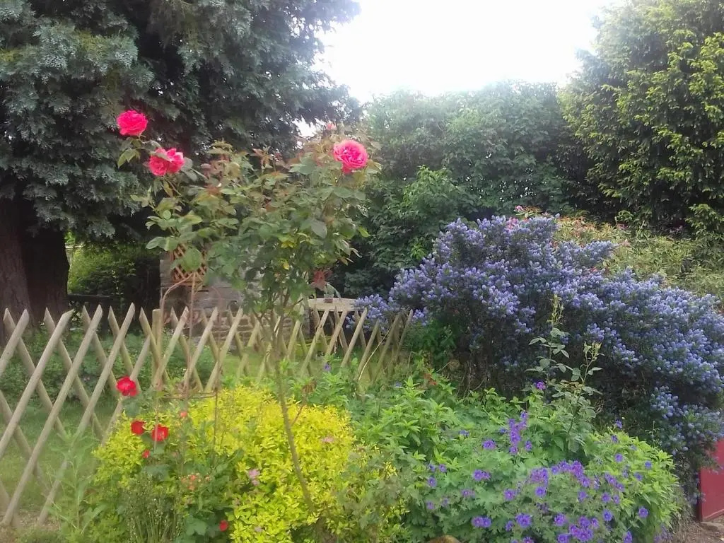 Les Champs de Tracy - Général