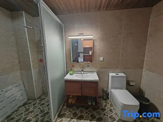 Standard Double room with courtyard view (twin beds)