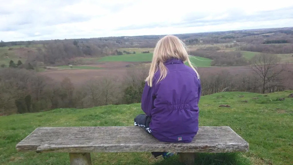 Egtved Hotel - фото 3