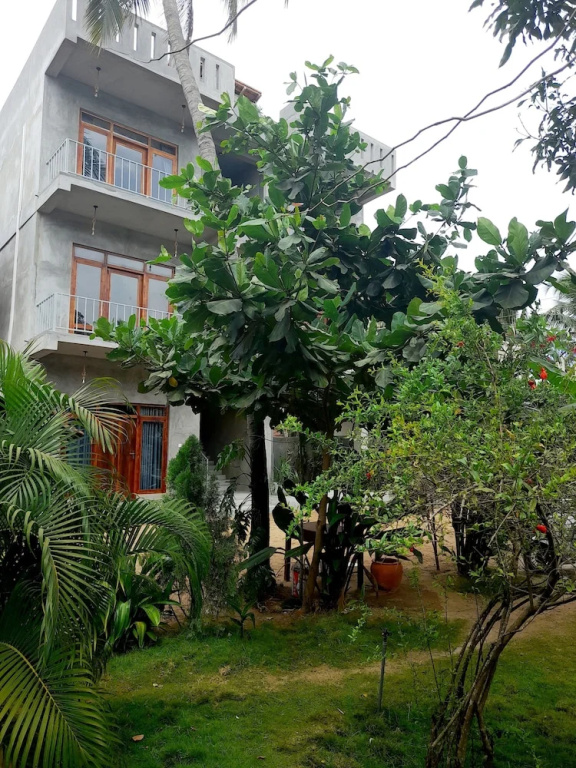 Surf Gangs Hotel
