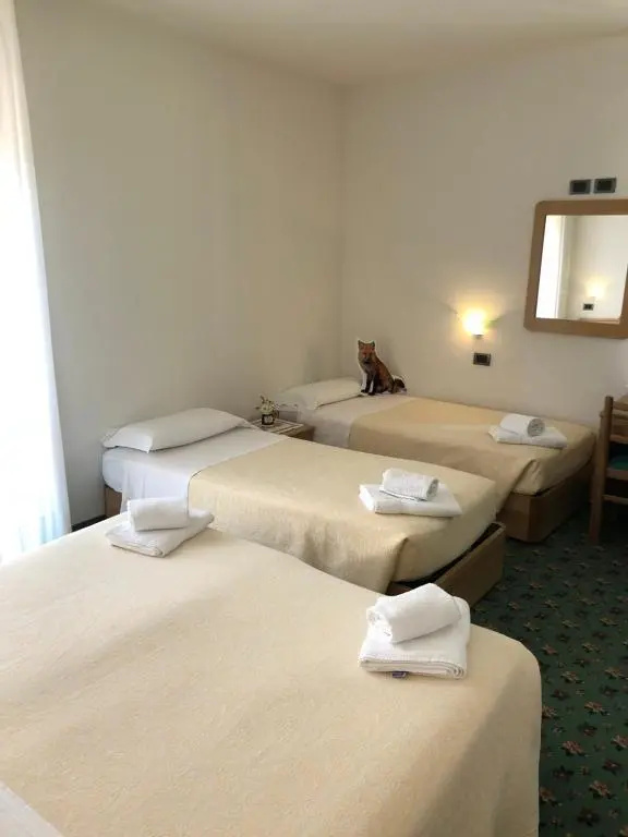 Albergo La Bicocca - Chambres