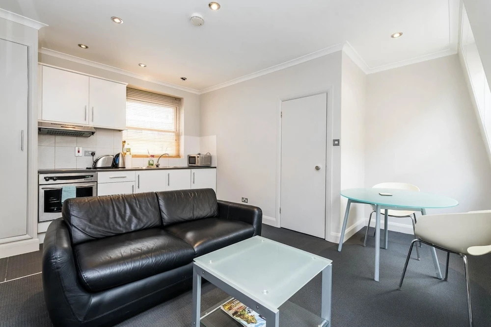 1BR Flat in St Paul's the Very Centre of London
