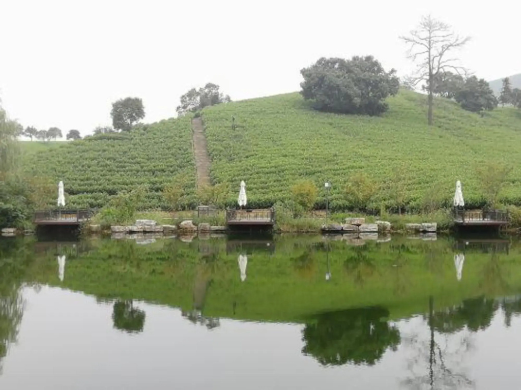 Best White Campsort Xilong Chagu Resort