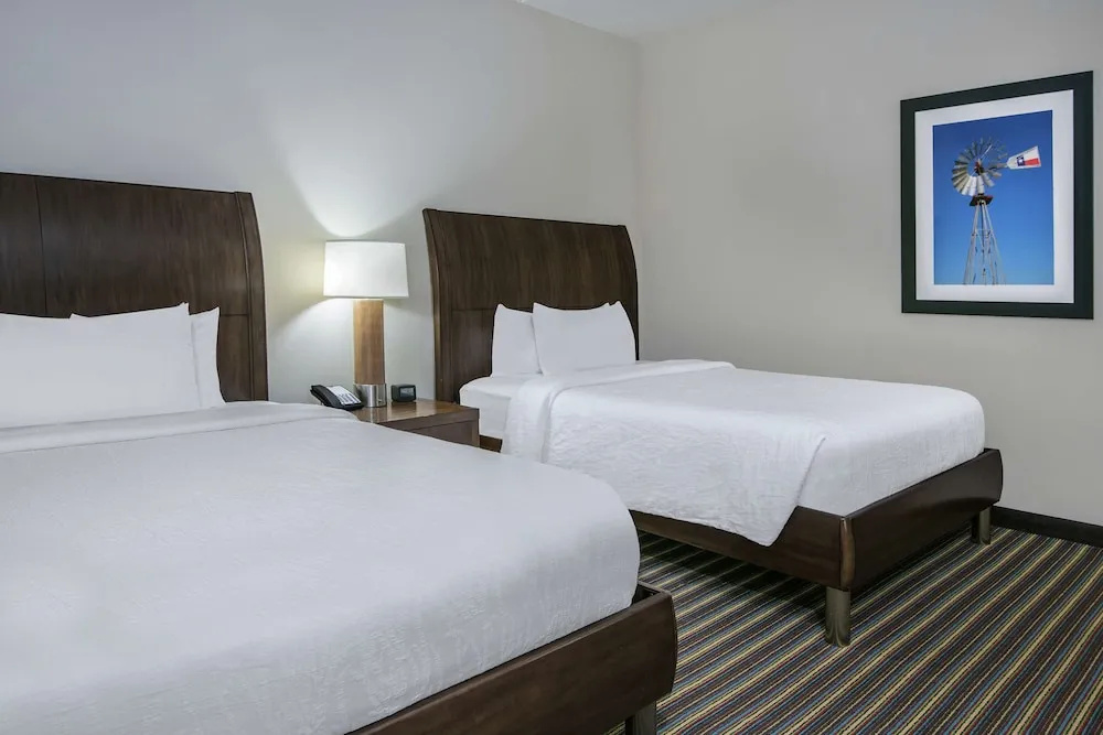 Hilton Garden Inn San Antonio At The Rim - Chambres