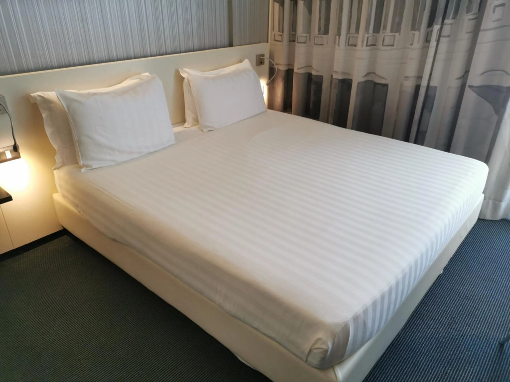 ibis Styles Roma Eur — фото