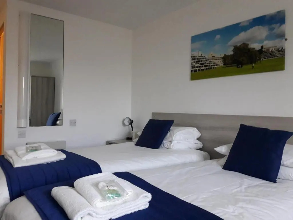 Standard Double room (twin beds)