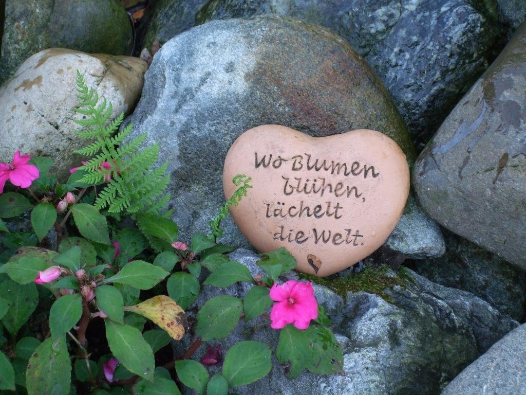 Ferienwohnung Haus Mittelberg