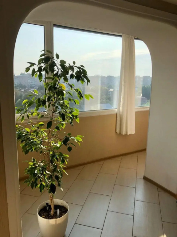 Cozy and comfortable apartment