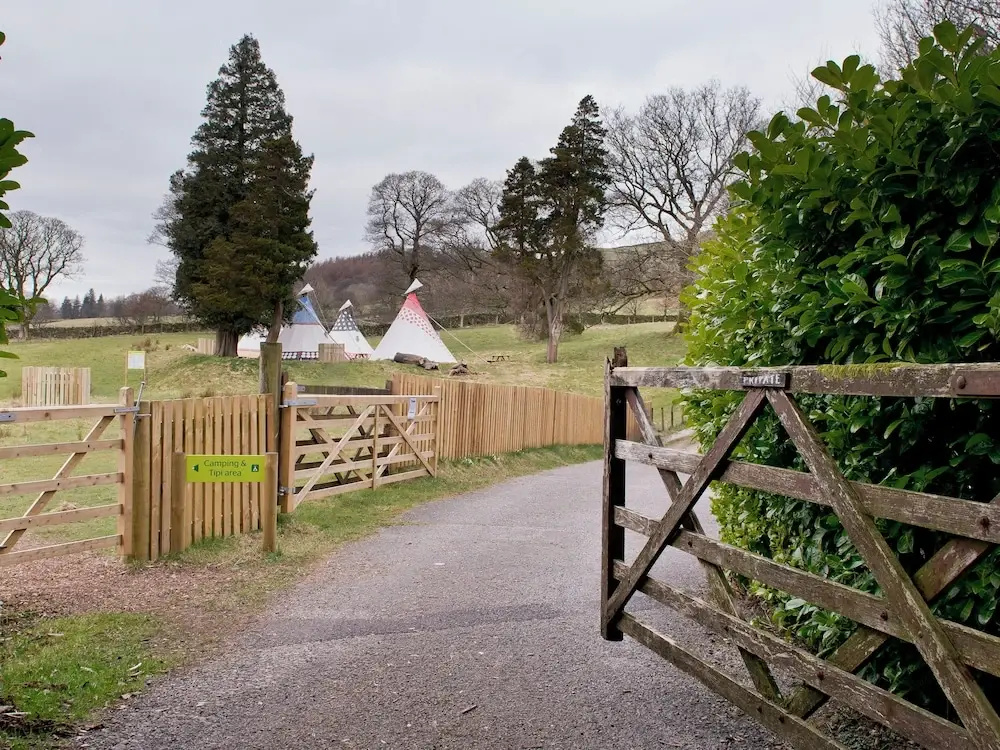 Tent
