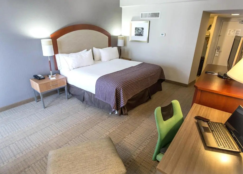 Hotel Indigo St Louis - Central West End by IHG - Chambres