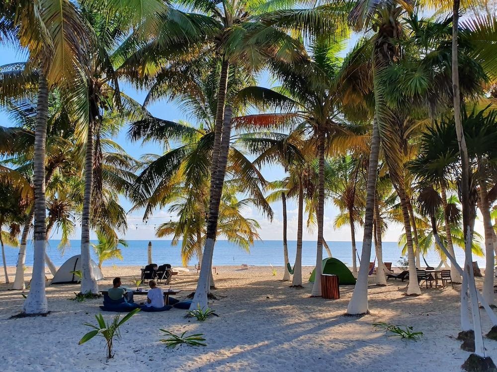 Beach & Waterfront