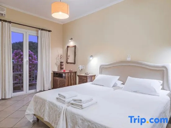 Economy Double room (full double bed)