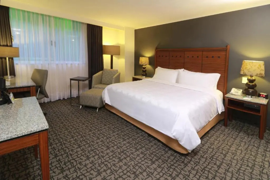 Holiday Inn Ciudad De Mexico-Trade Center by IHG - Chambres