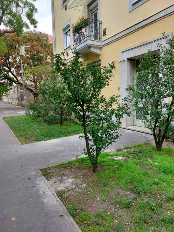 Family Friendly Apartman
