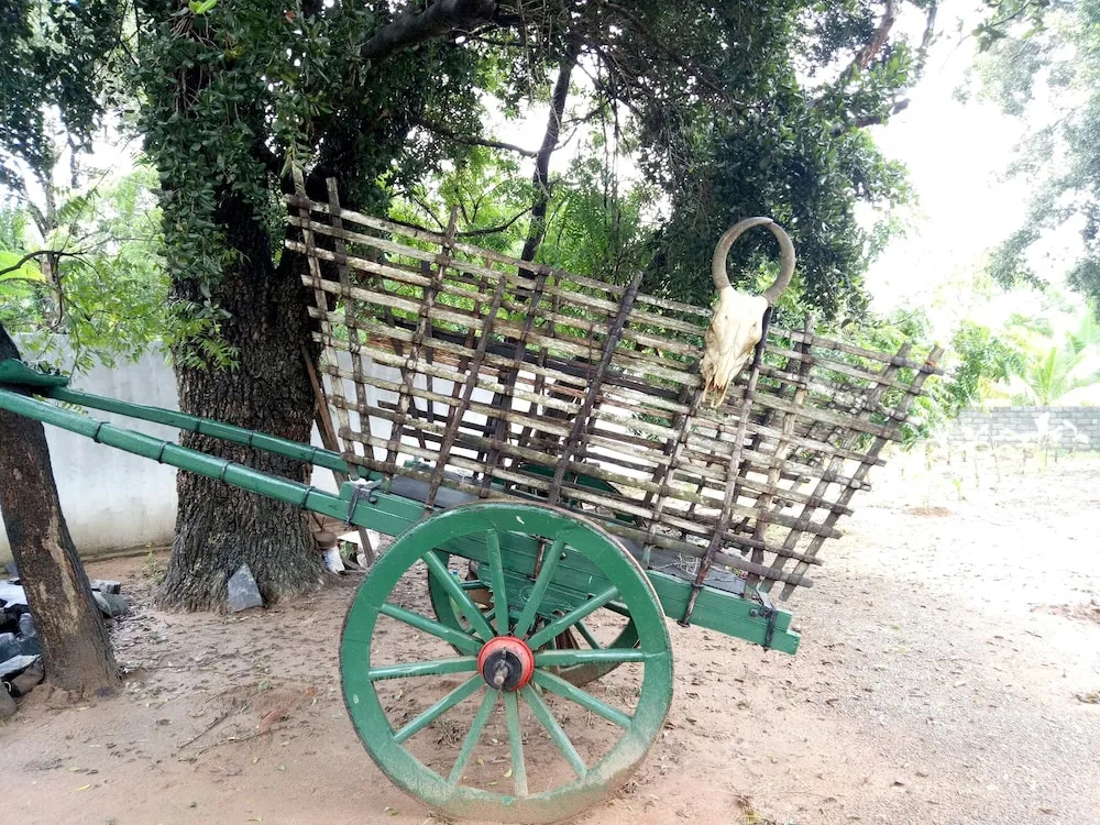 Saman Resort - Général