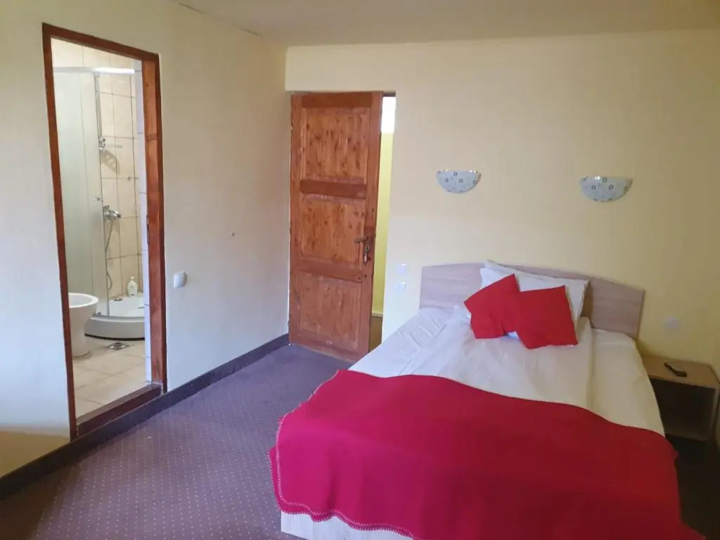 Pensiunea Leia - Chambres