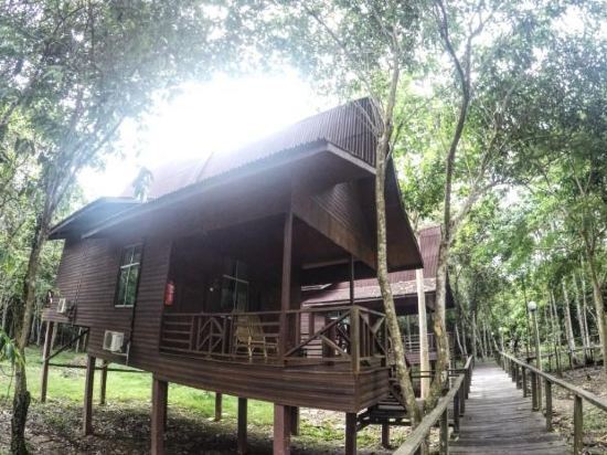 Bilit Rainforest Lodge
