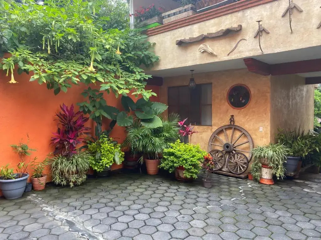 Flor De Cera - Chambres