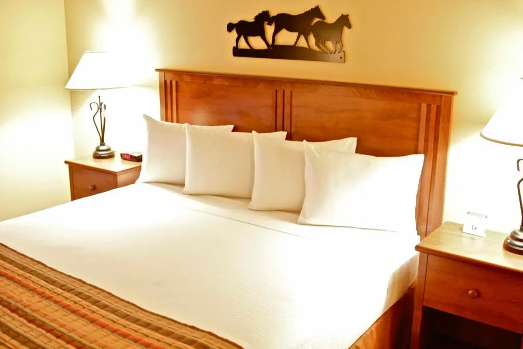 Arbuckle Lodge - Chambres