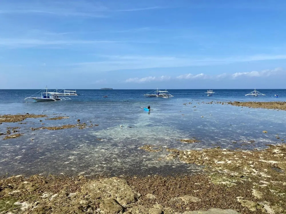 Club Hari Dive Resort - Général