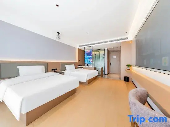 Business Double room (twin beds)
