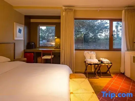 Standard Double room with courtyard view (full double bed)