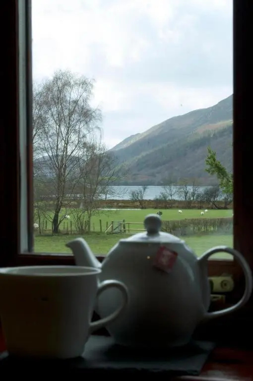 Dolffanog Fawr - Chambres