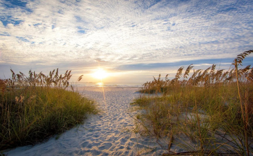 Beach & Waterfront