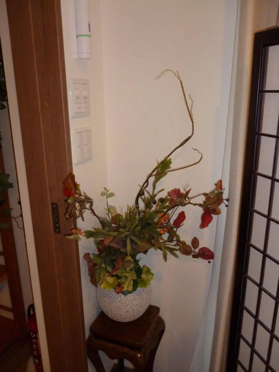 Hokkaido Sun Guest House 사진 13