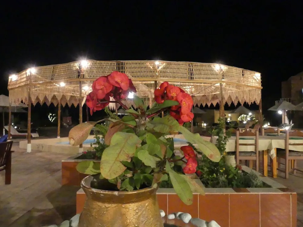 Fanadir Resort - фото 36