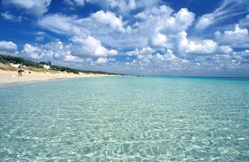 Beach & Waterfront