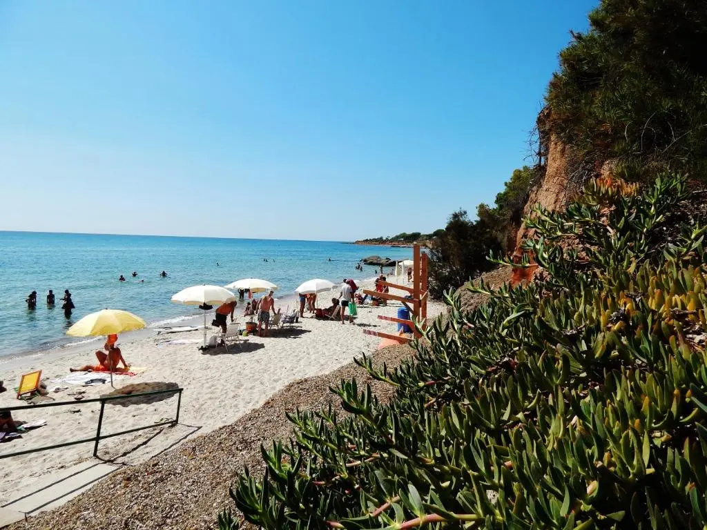 Beach & Waterfront