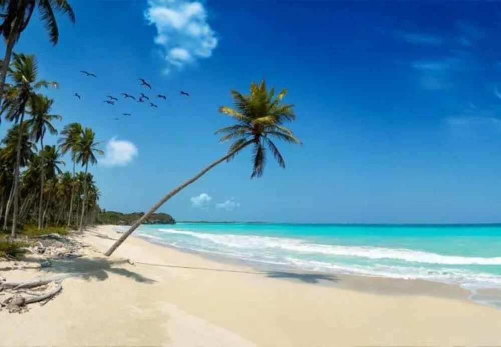 Mangro Hotel Diani Beach - Général