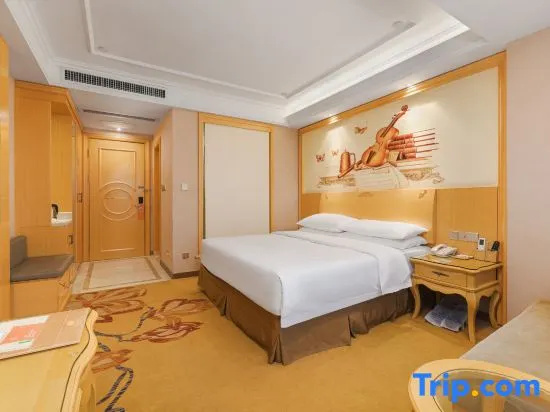 Vienna Hotel Guangxi Nanning Changhu Road Branch - Chambres