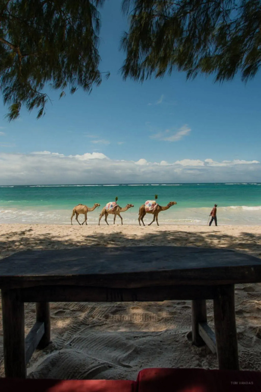 Bahari Dhow Beach Villas - Général