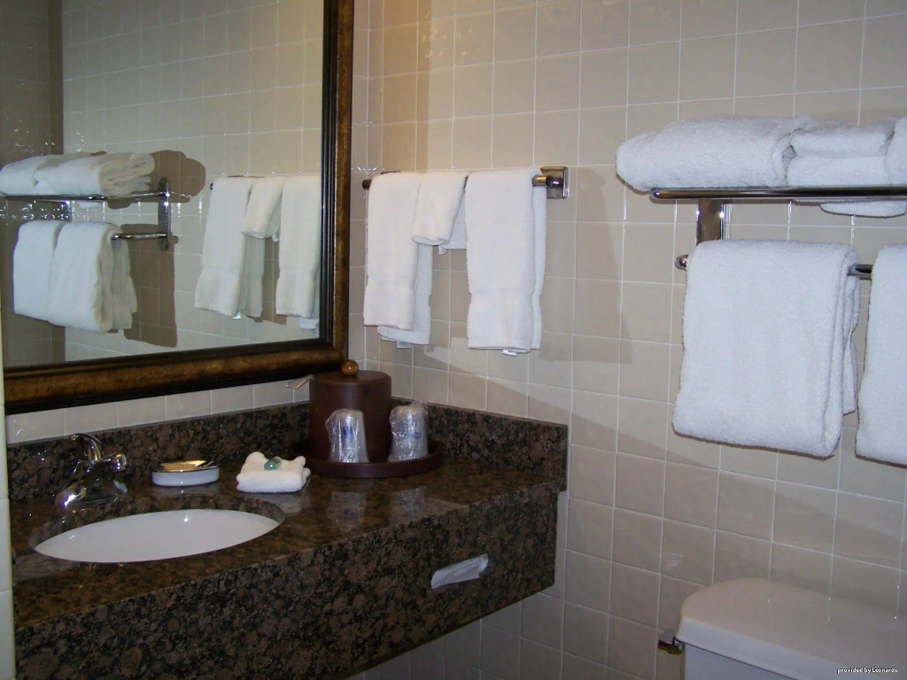 Best Western Plus Posada Ana Inn - Medical Center - Général