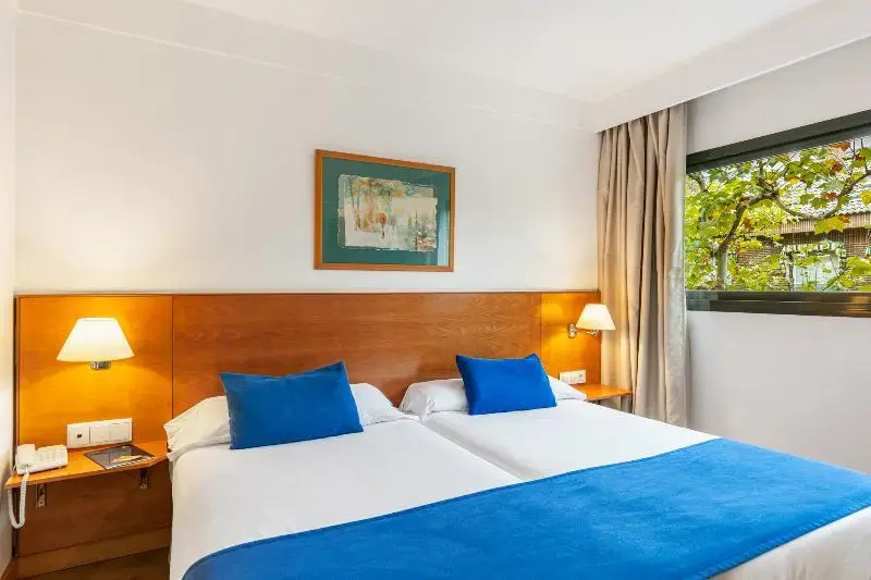 Sercotel de los Reyes Room Type - Classic Double Room