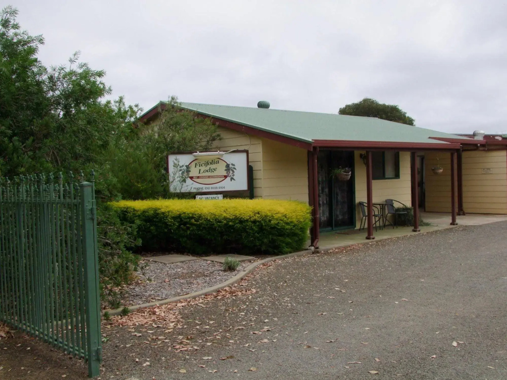 Ficifolia Lodge - Général