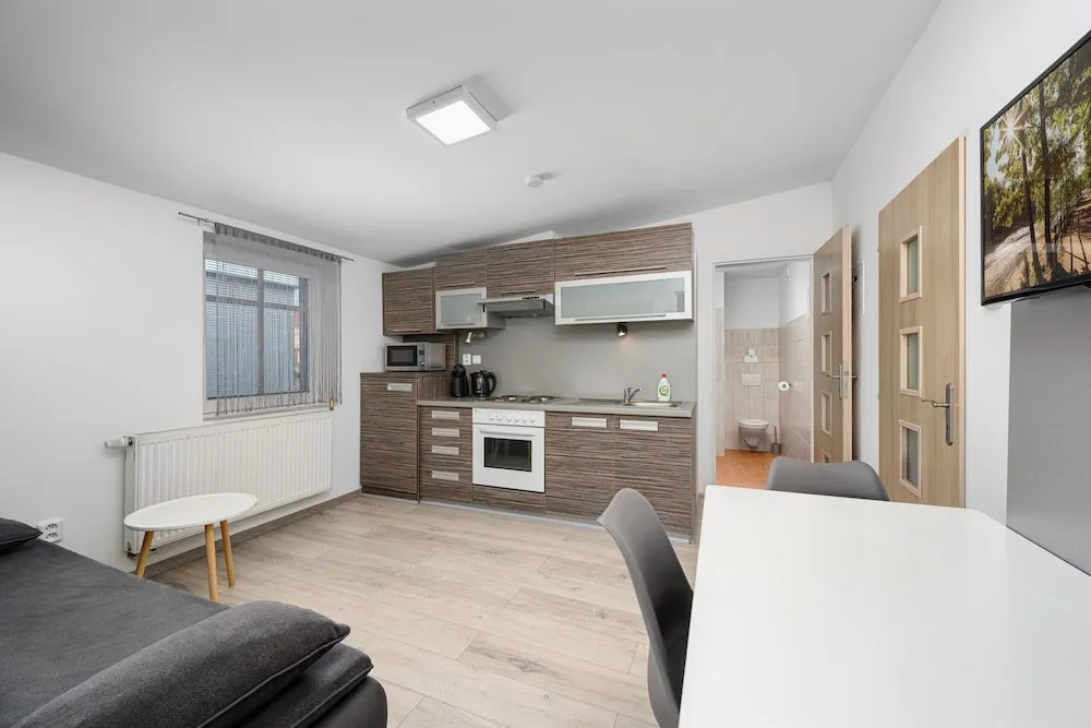 1 Bedroom Suite
