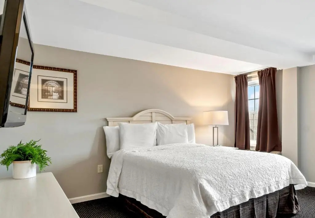 Sea Rose Suites - Chambres