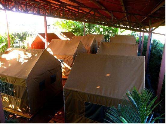 Arenal Backpackers Resort by null