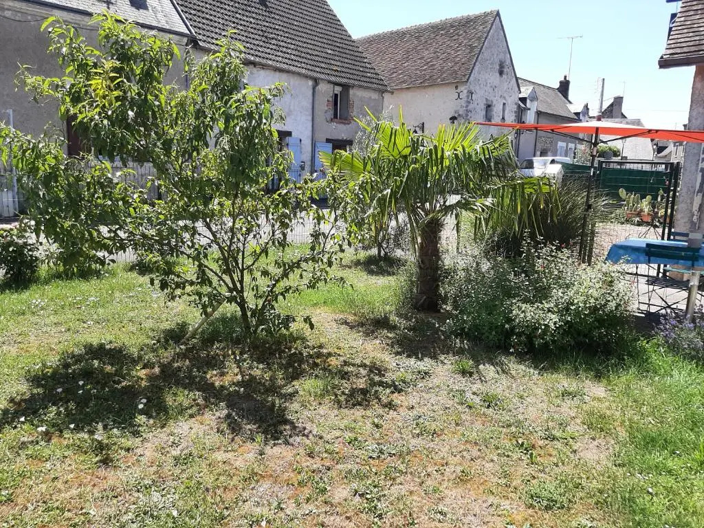 Afficher la photo 8 — Les deux anes