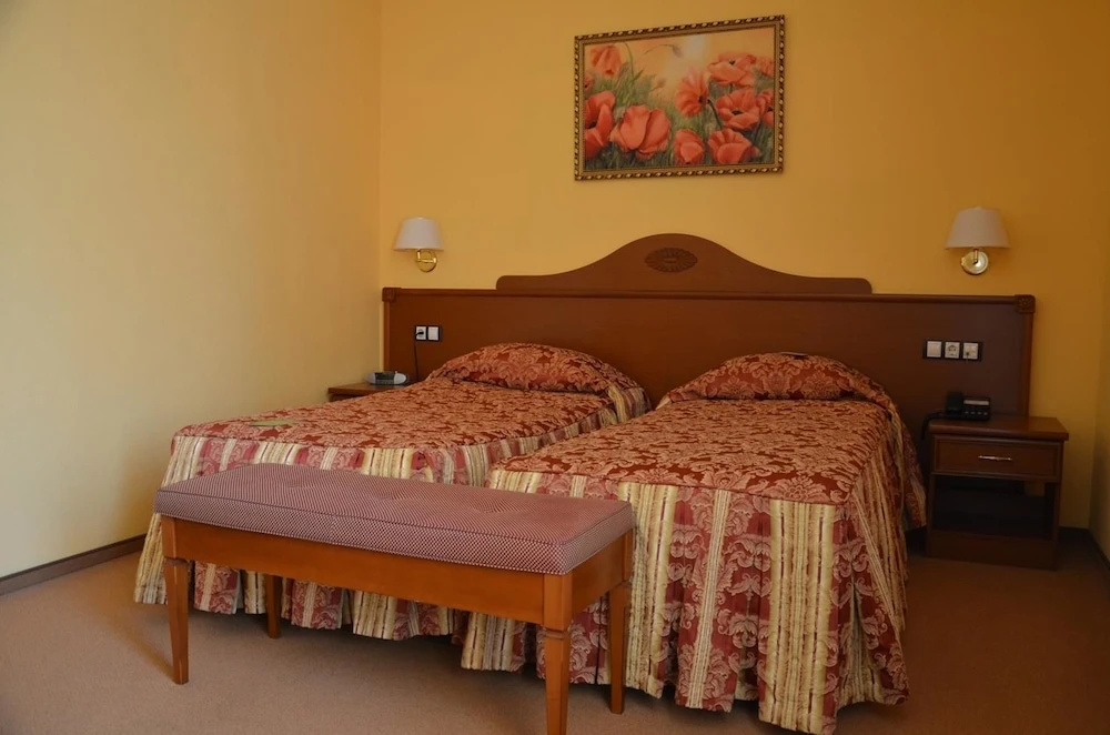 Aurora Premier Hotel - Chambres