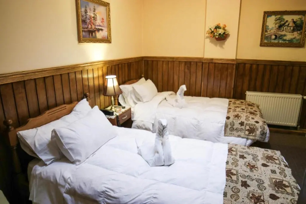 Standard Double room (twin beds)