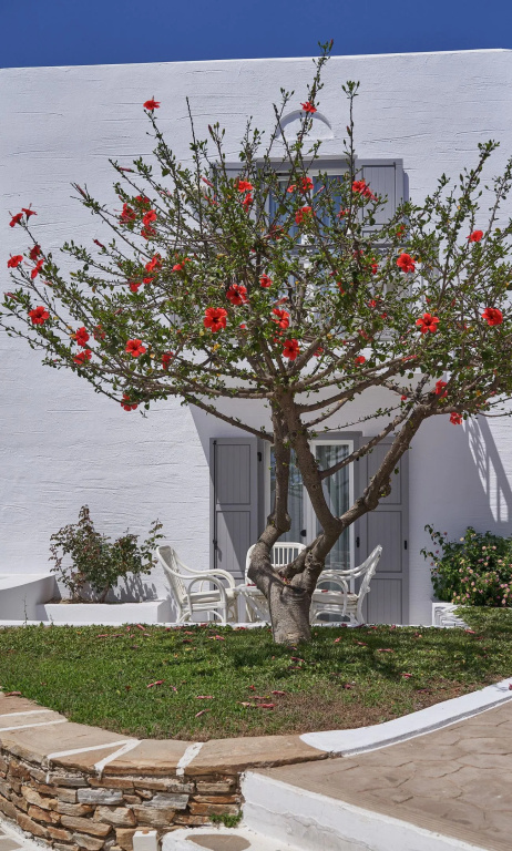 Galaxy Hotel - Chambres