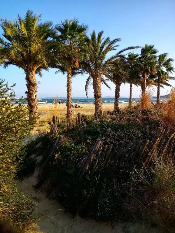 Afficher la photo 7 — Nice 33m With Terrace Near The Beach