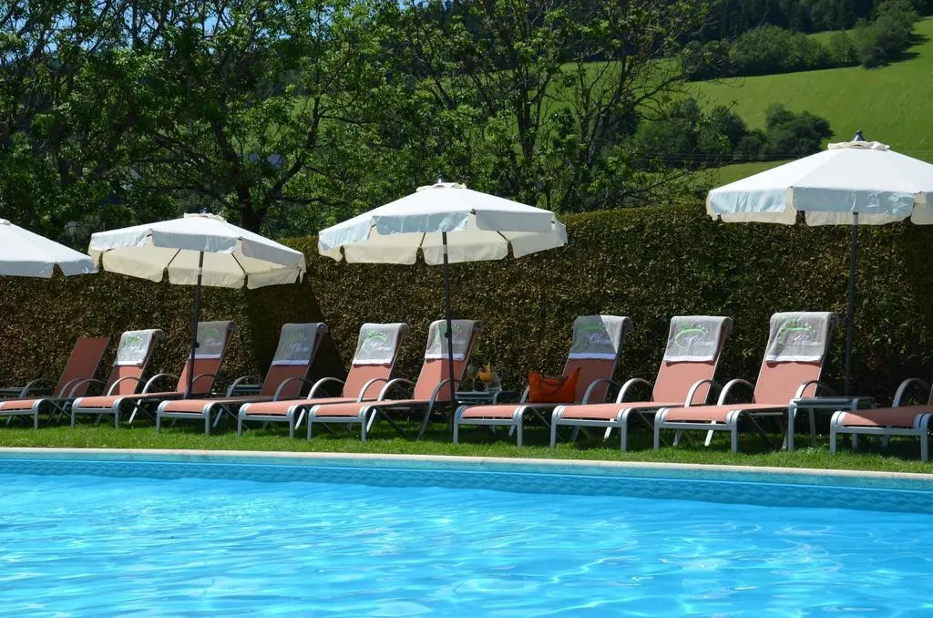 Hôtel et SPA Les Clarines - Général